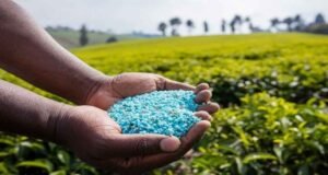 10-Reasons-to-Switch-to-Blended-Fertiliser-for-Your-Crops