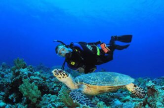 Scuba Diving in Cozumel