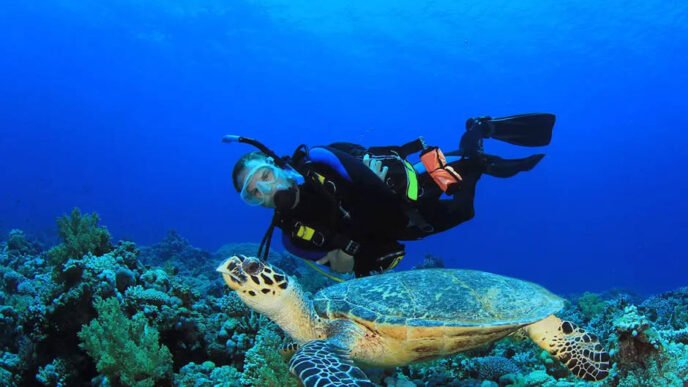 Scuba Diving in Cozumel