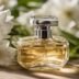 The-Ultimate-Guide-to-Musk-Perfume-for-Women