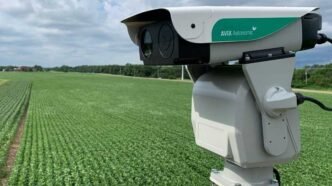 How Bird Control Devices Are Revolutionizing Pest Management in Urban Areas